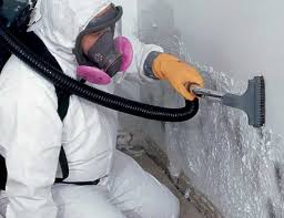 Best Industrial Mold Remediation in Middletown, NY